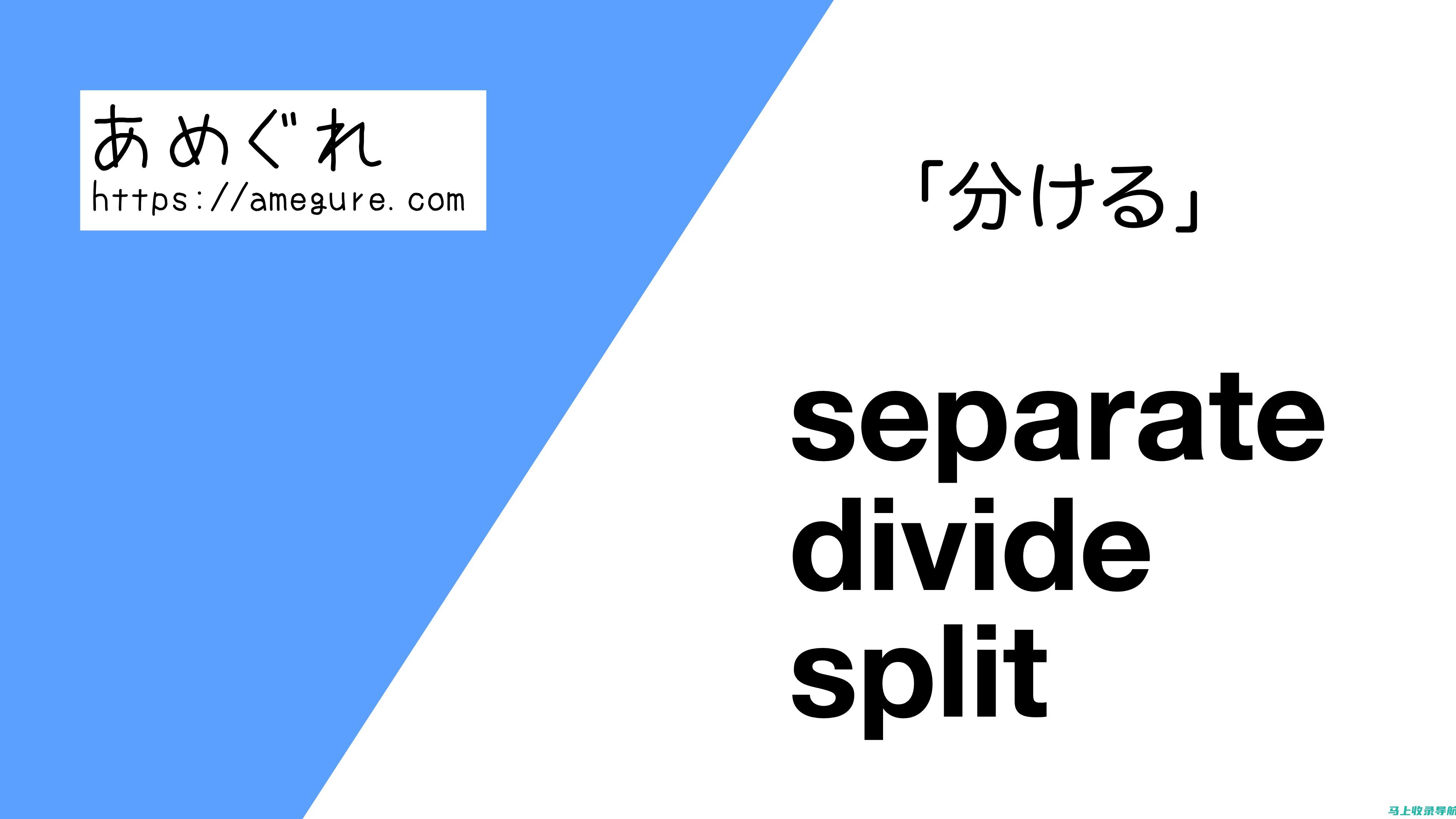 SeparateC的优势与挑战：行业内的观点与洞察